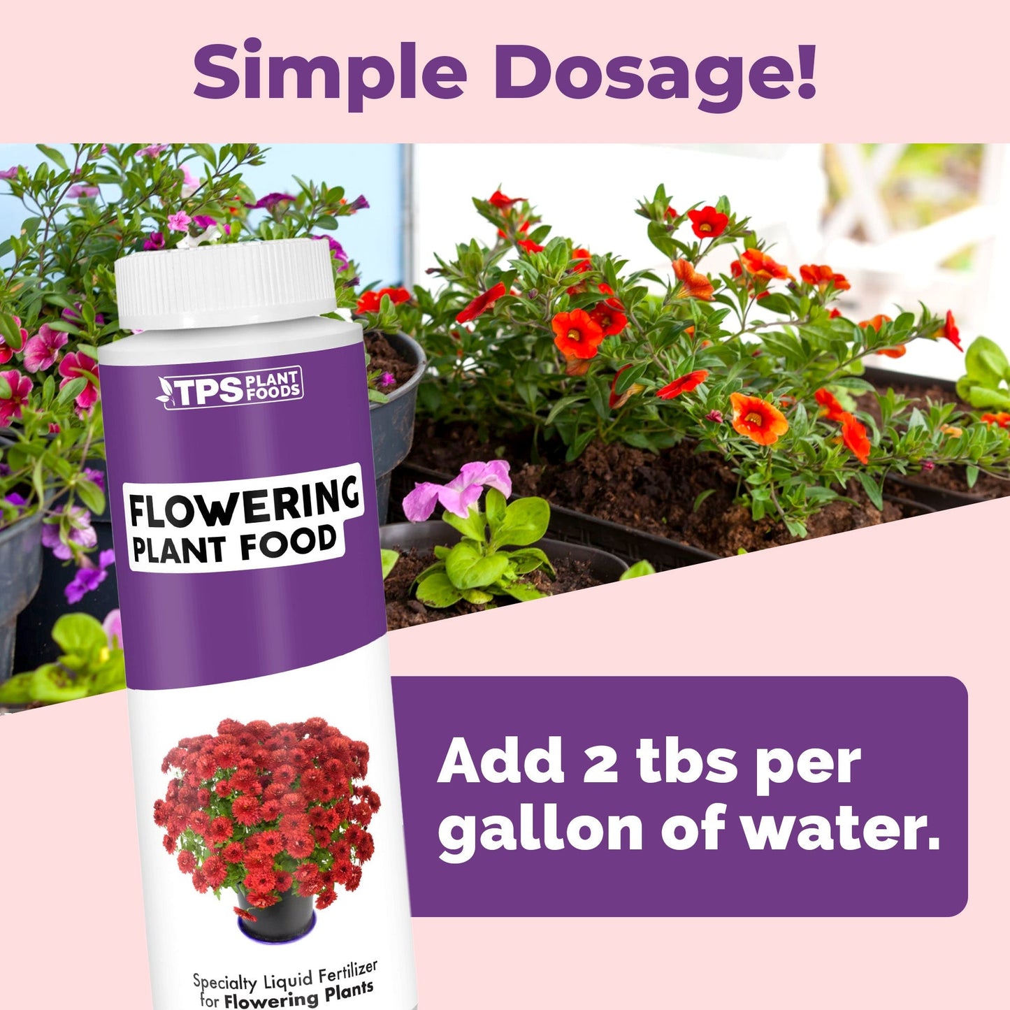Flowering Plant Food