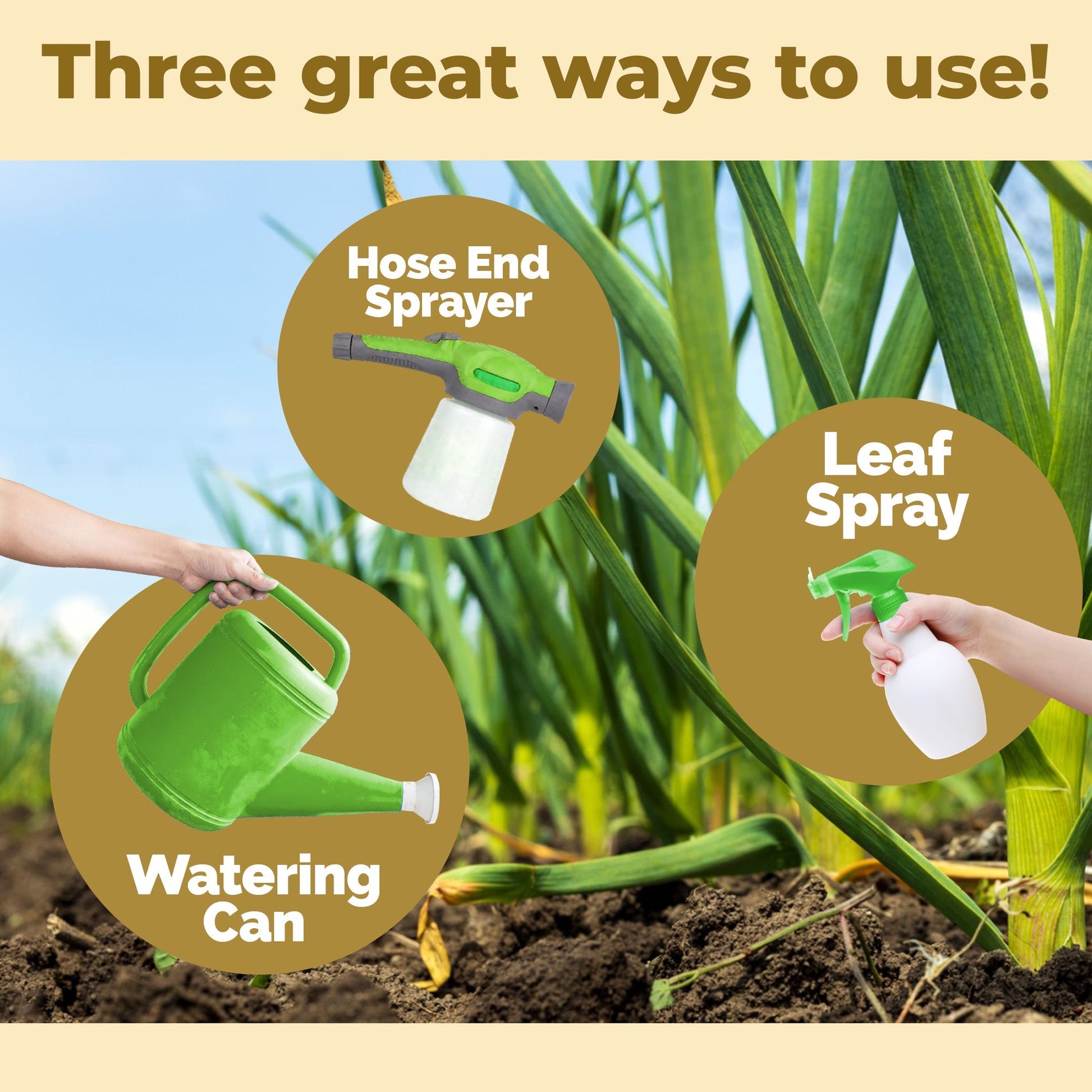 How to use and apply Garlic Fertilizer