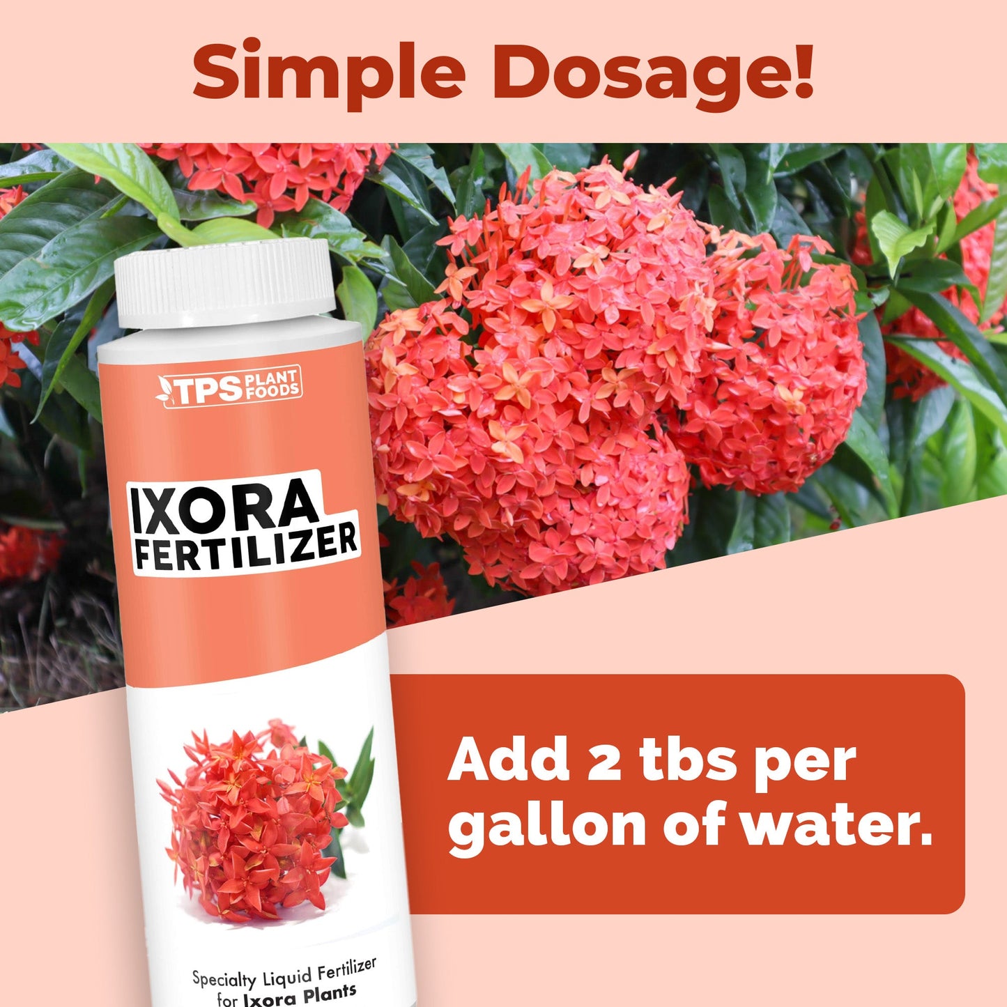 Key benefits and healthy growth features of Ixora Fertilizer