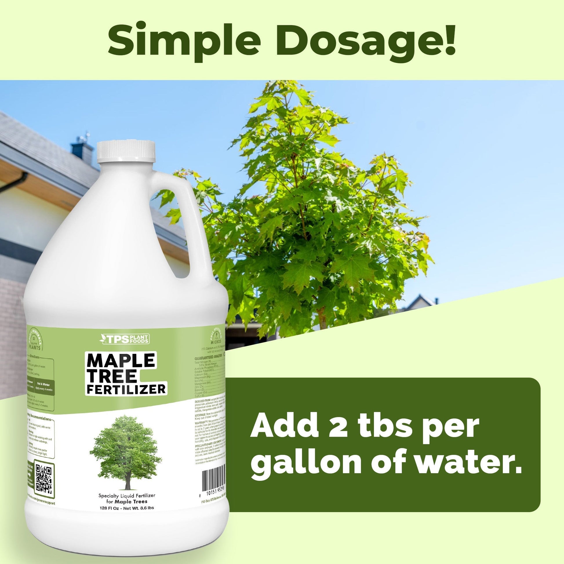 Key benefits and healthy growth features of Maple Tree Fertilizer