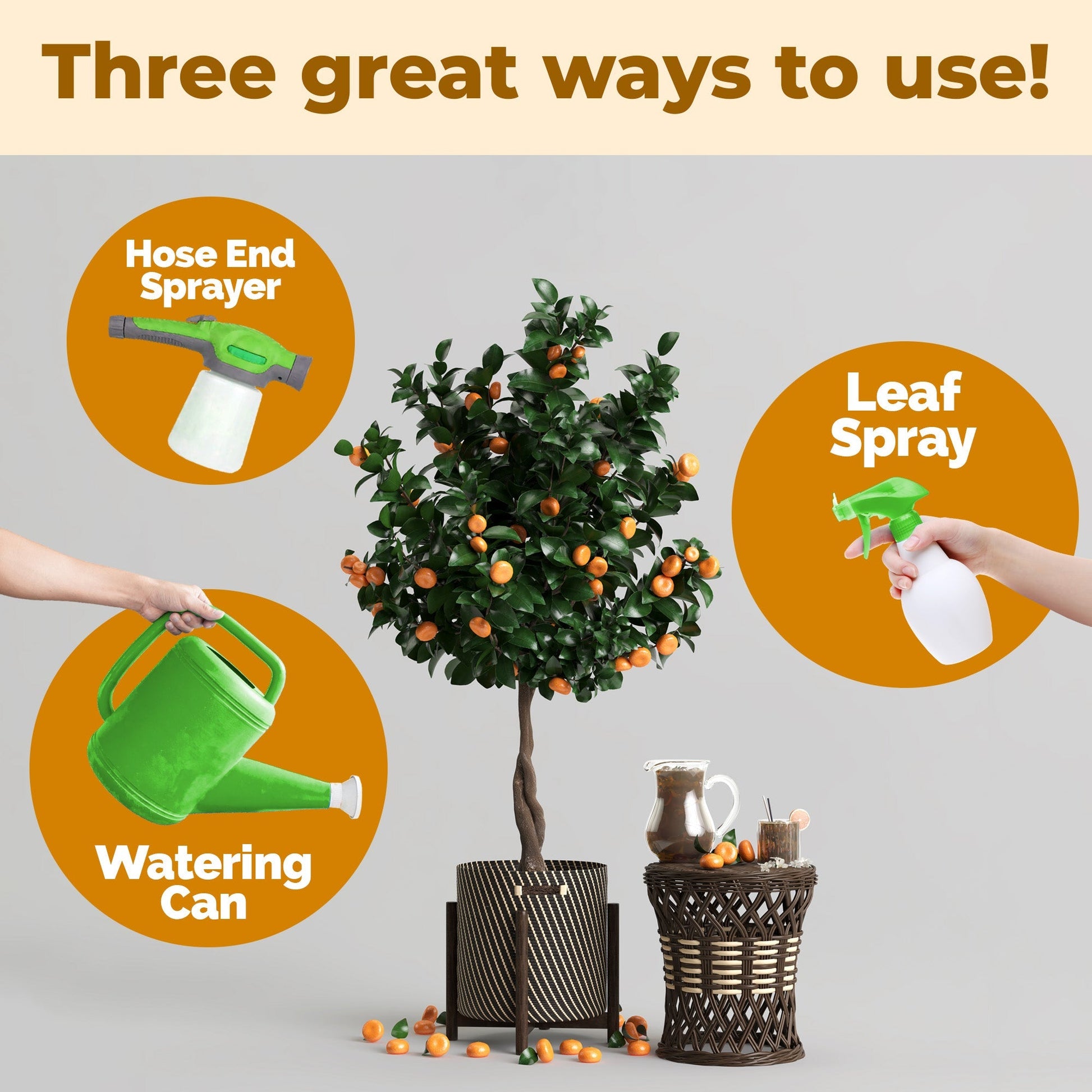 How to use and apply Orange Tree Fertilizer