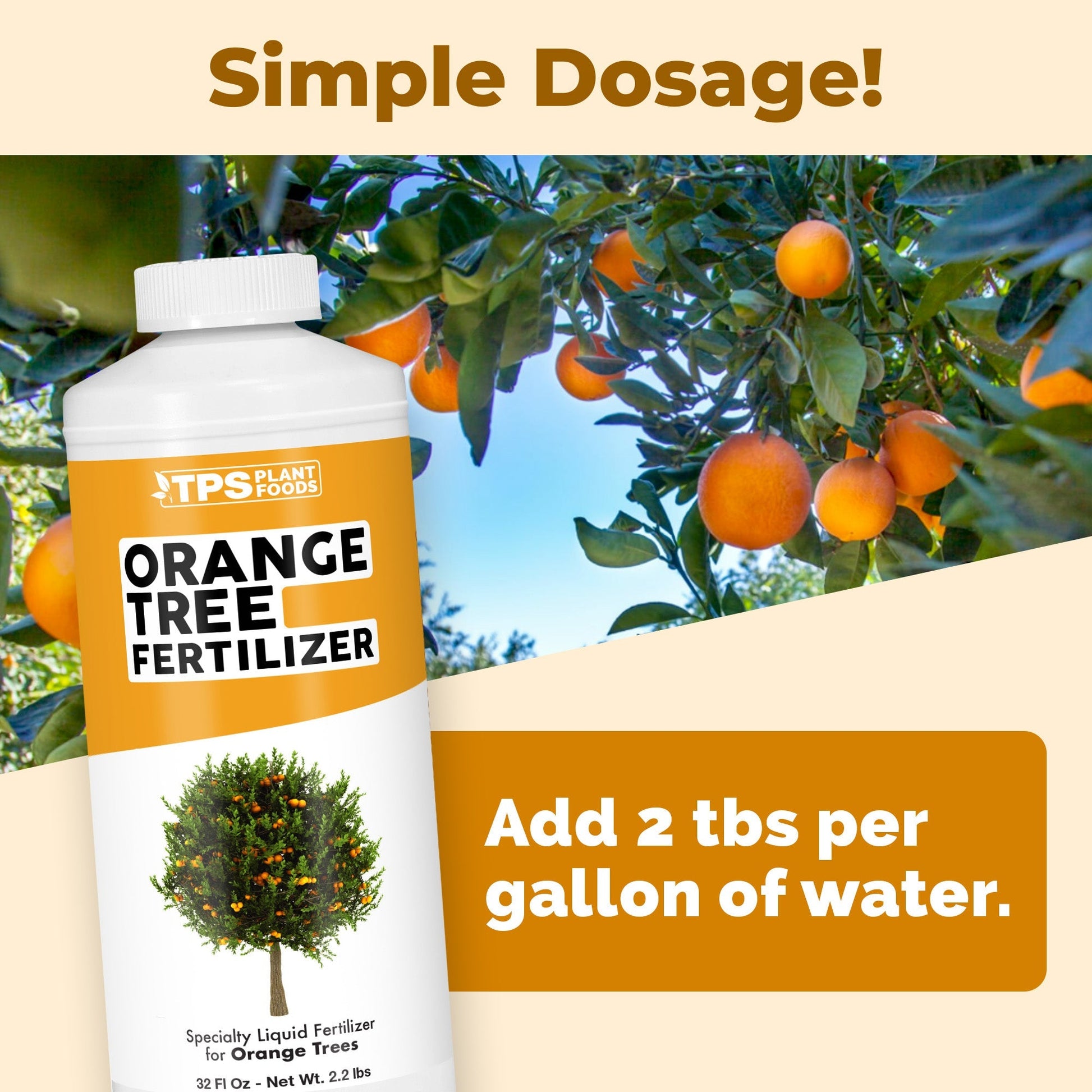 Key benefits and healthy growth features of Orange Tree Fertilizer