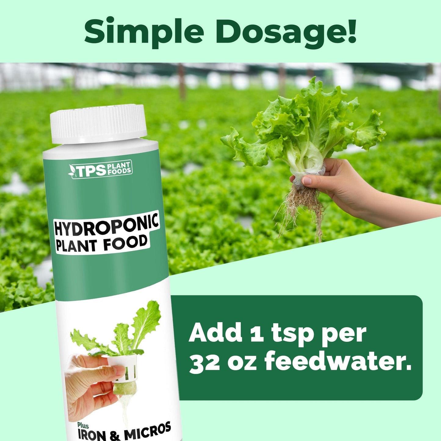 Key benefits and healthy growth features of Hydroponic Plant Food