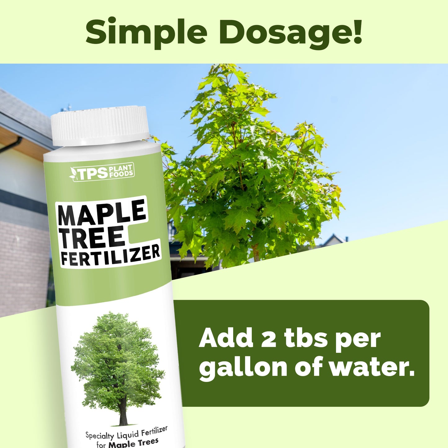 Maple Tree Fertilizer