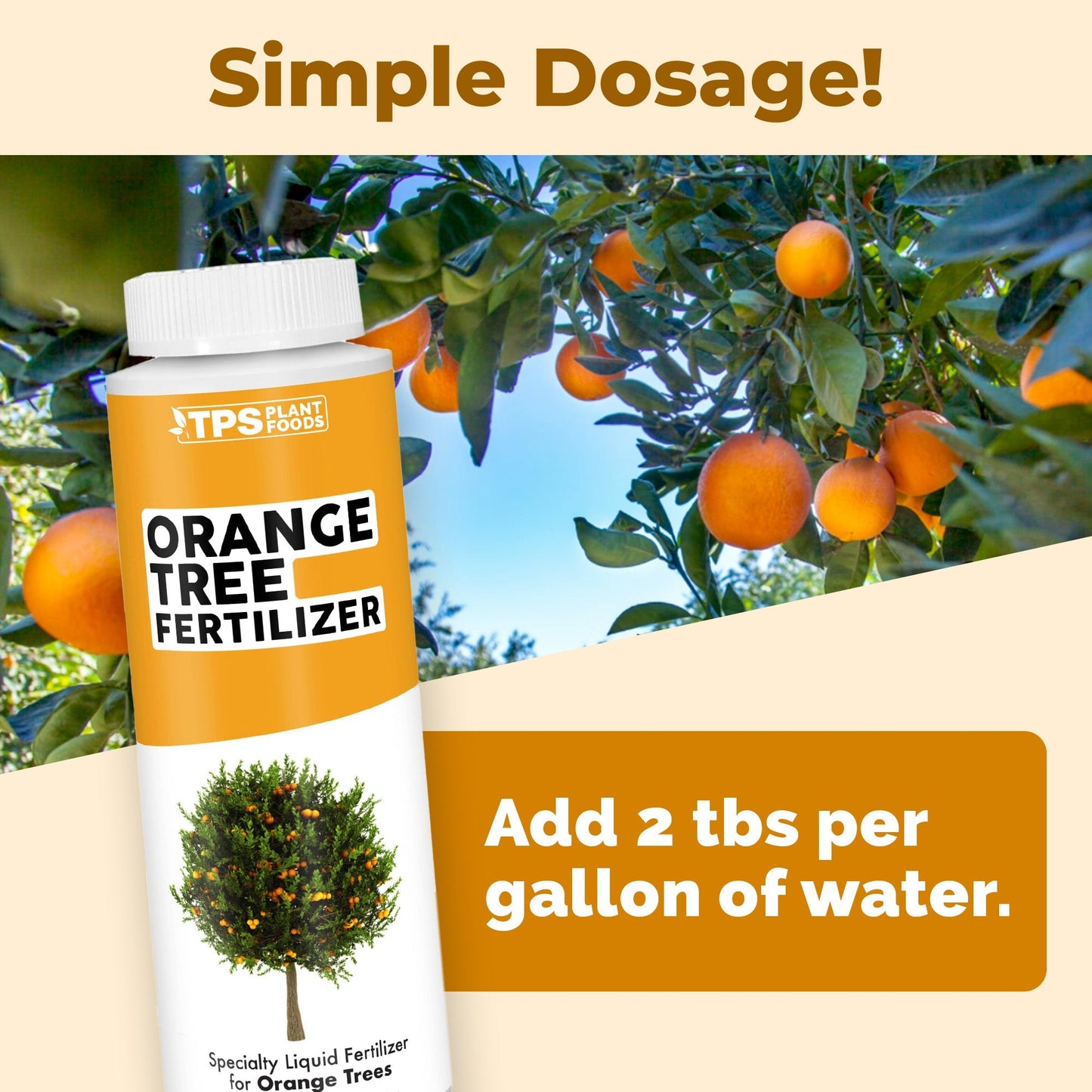 Key benefits and healthy growth features of Orange Tree Fertilizer