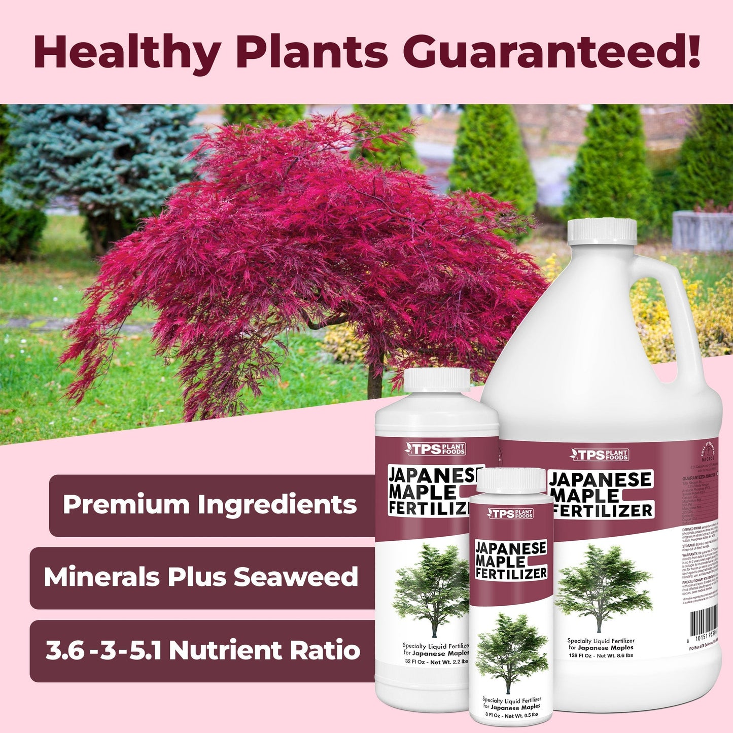 Japanese Maple Fertilizer