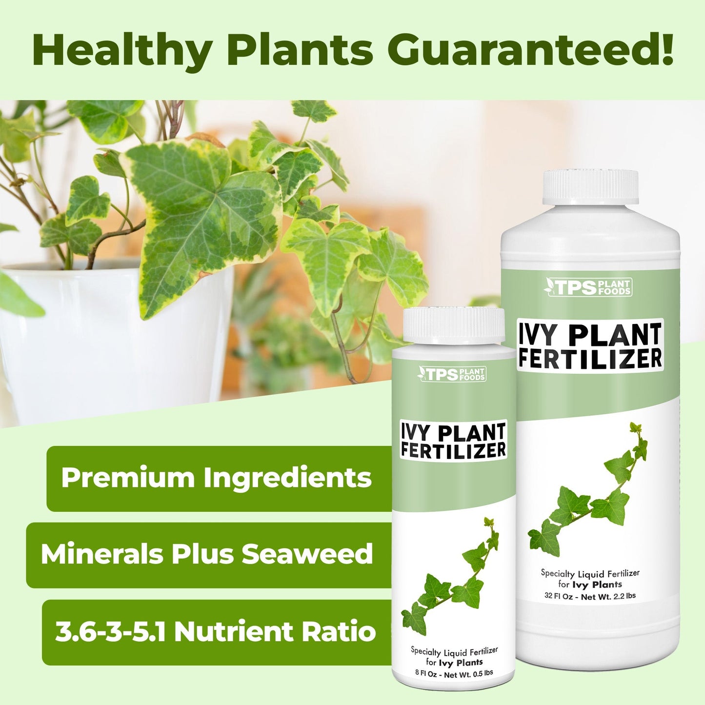 Ivy Plant Food product package shown with plants