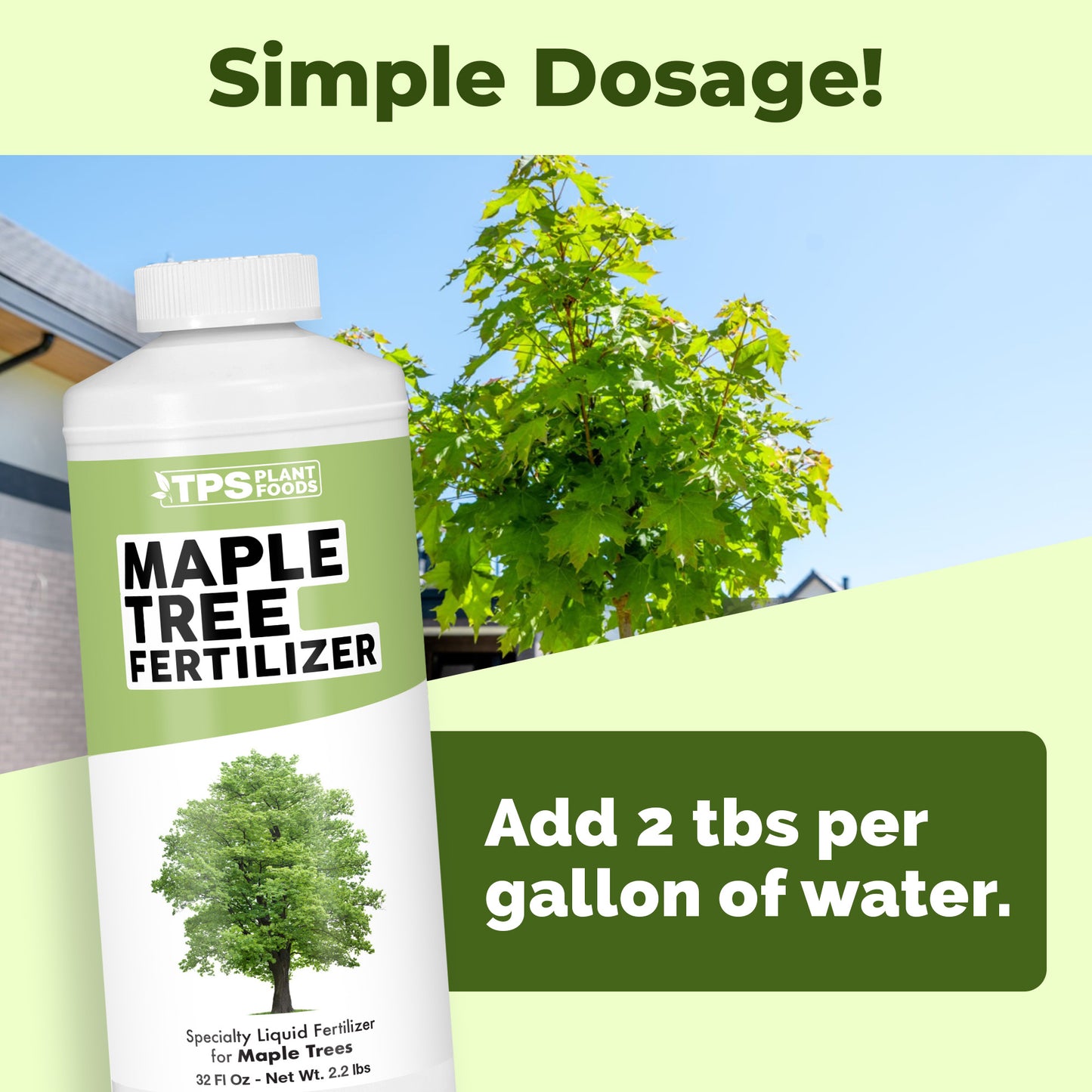 Maple Tree Fertilizer