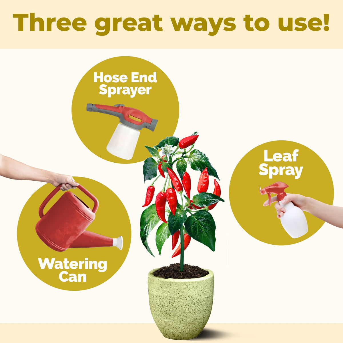 How to mix and apply TPS Potassium Sulfate Fertilizer — 2 Tbs per gallon [how-to]