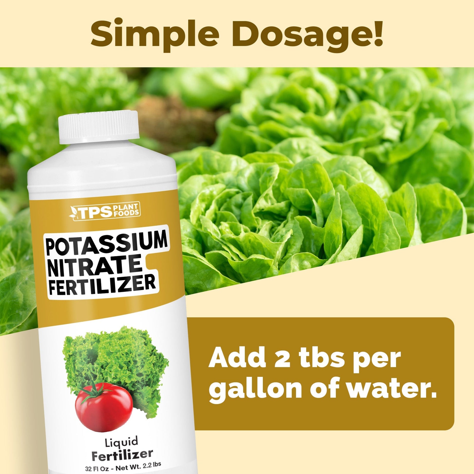 Key benefits and healthy growth features of Potassium Nitrate Fertilizer