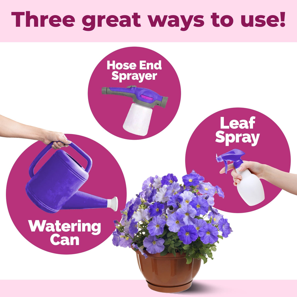 How to mix and apply TPS Petunia Fertilizer — 2 Tbs per gallon