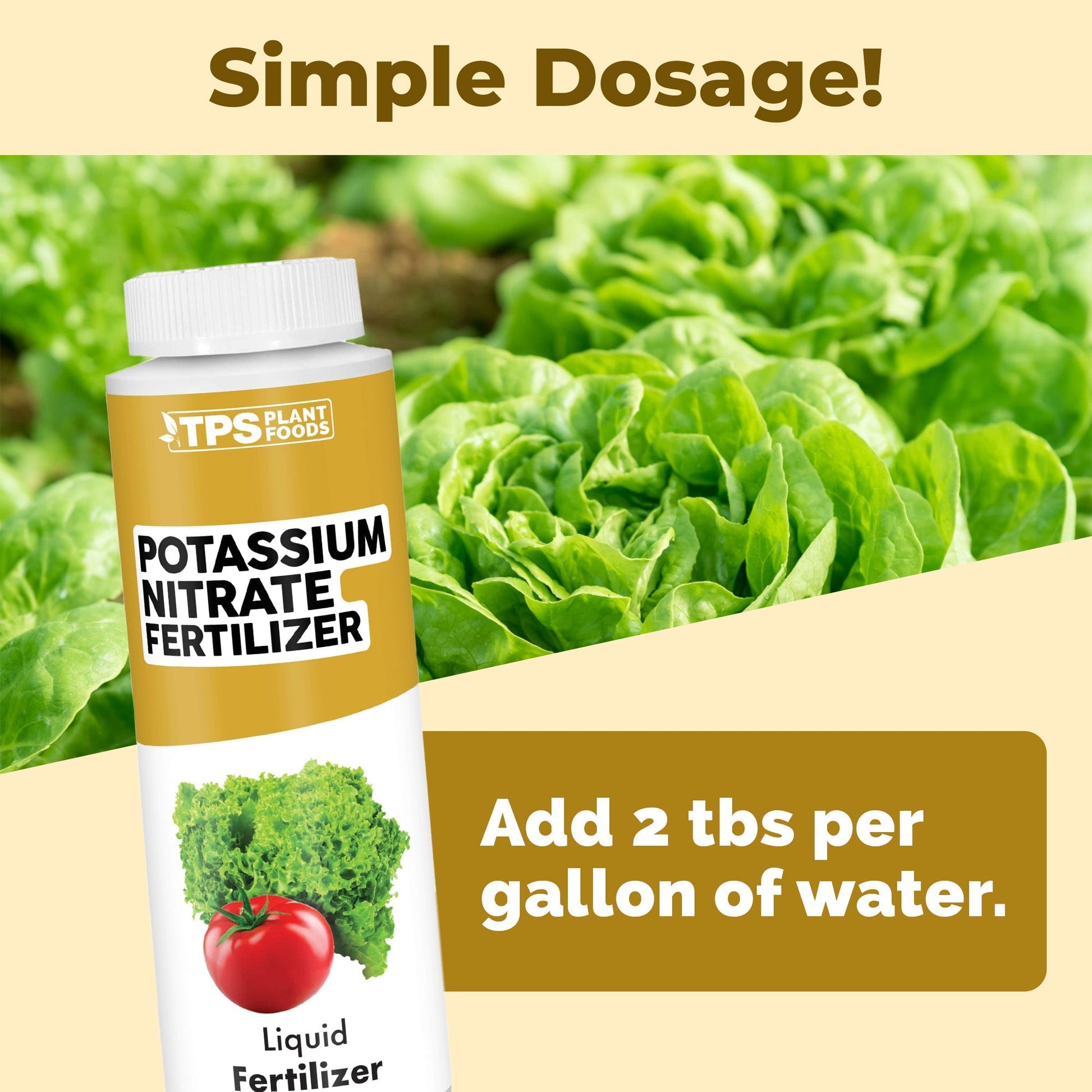 Key benefits and healthy growth features of Potassium Nitrate Fertilizer