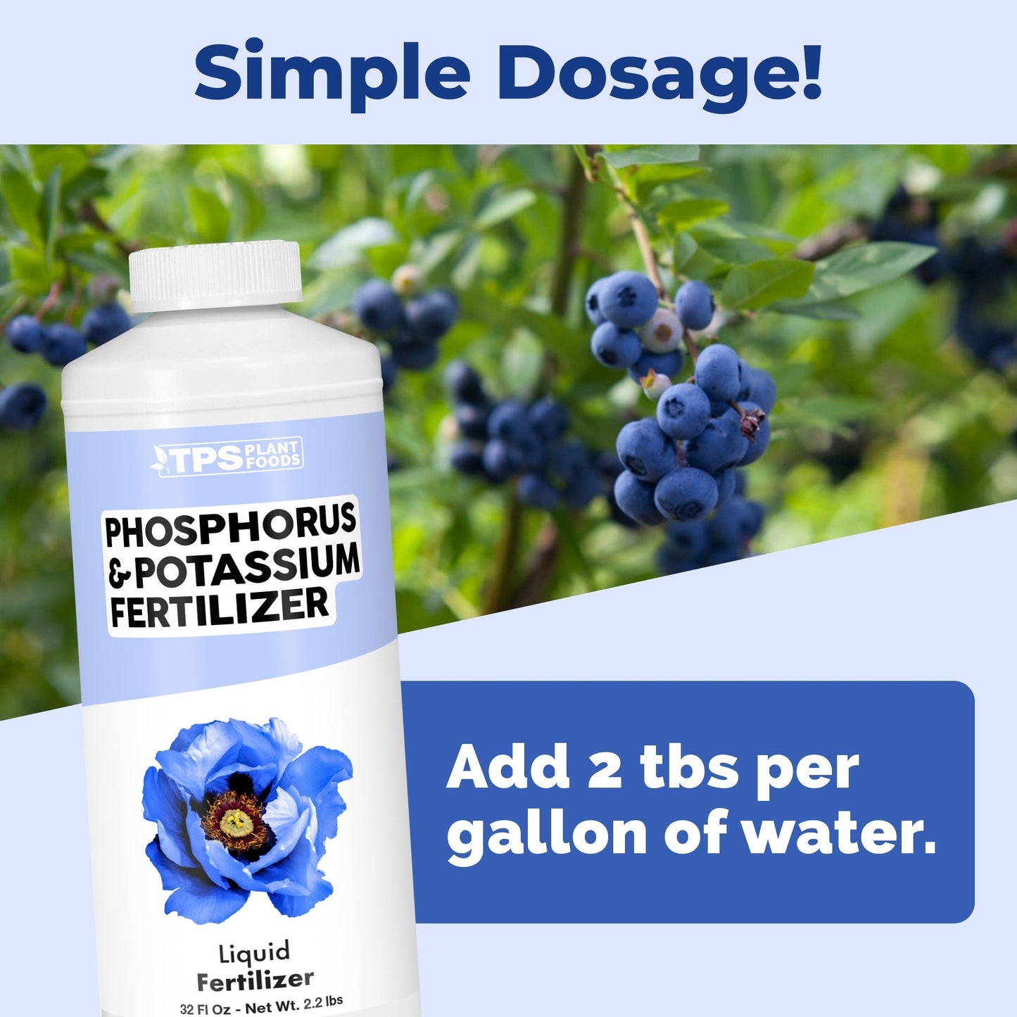Phosphorus and Potassium Fertilizer