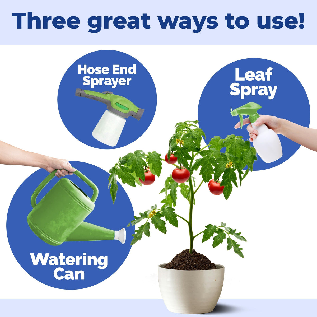 How to mix and apply TPS Phosphorus and Potassium Fertilizer — 2 Tbs per gallon [how-to]