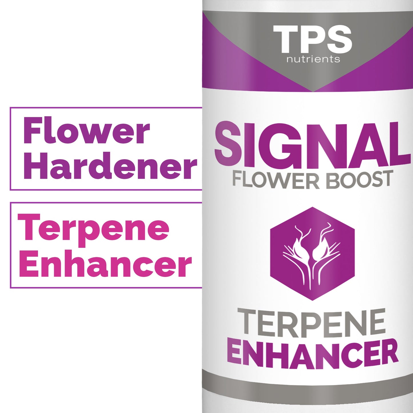 SIGNAL | Terpene Enhancer