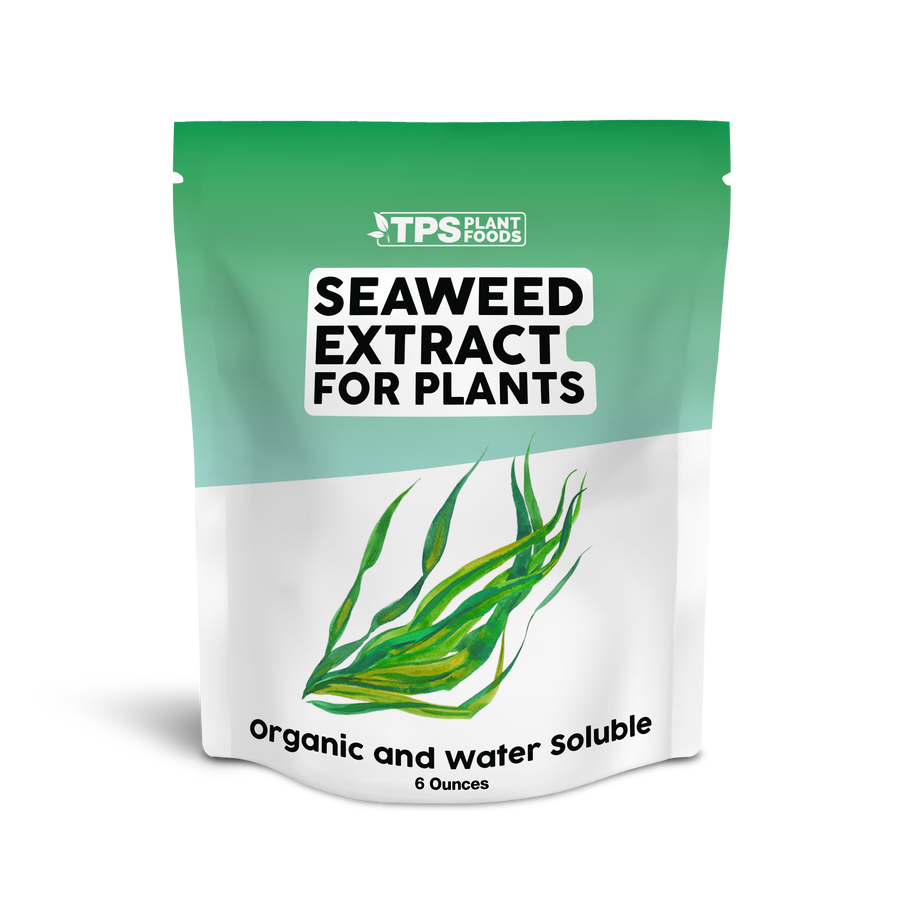 Seaweed Extract for Plants