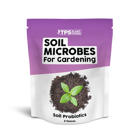 Soil Microbes for Gardening