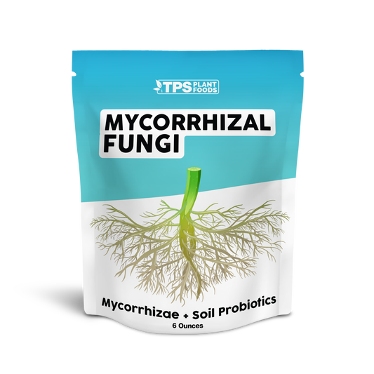 Mycorrhizal Fungi