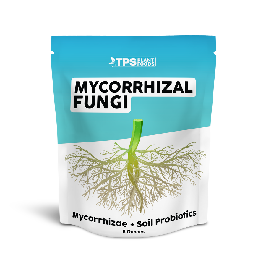 Mycorrhizal Fungi