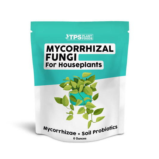 Mycorrhizal Fungi for Houseplants