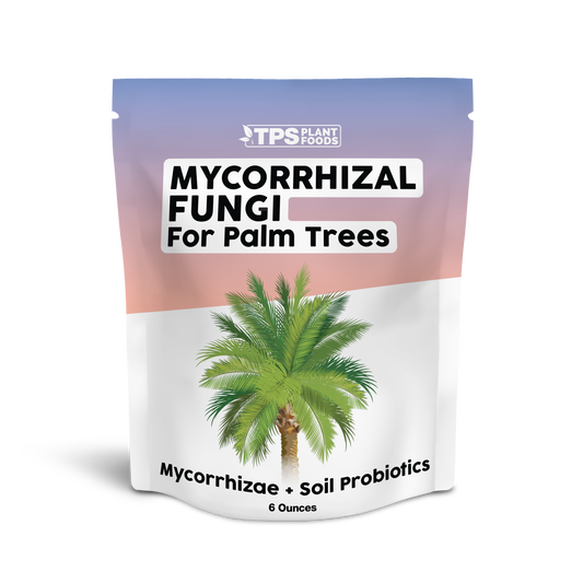 Mycorrhizal Fungi for Palm Trees