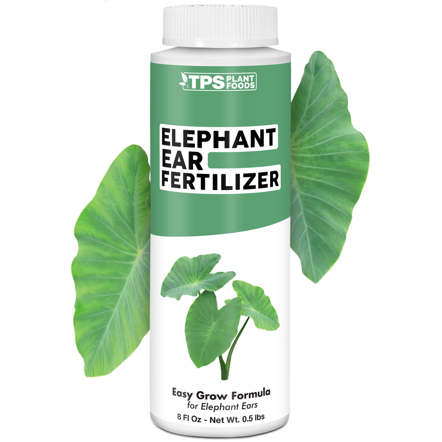 Elephant Ear Fertilizer