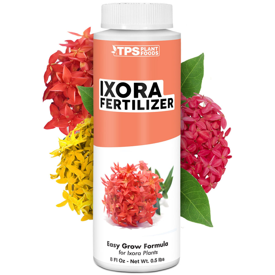 Ixora Fertilizer