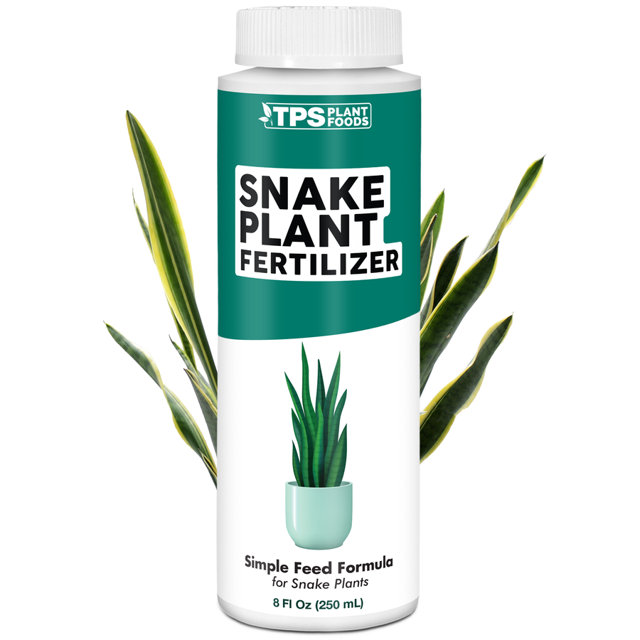 Snake Plant Fertilizer