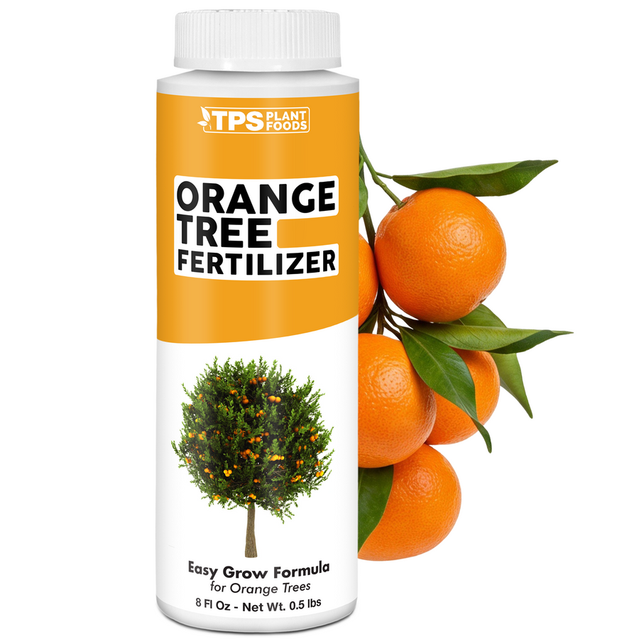Orange Tree Fertilizer