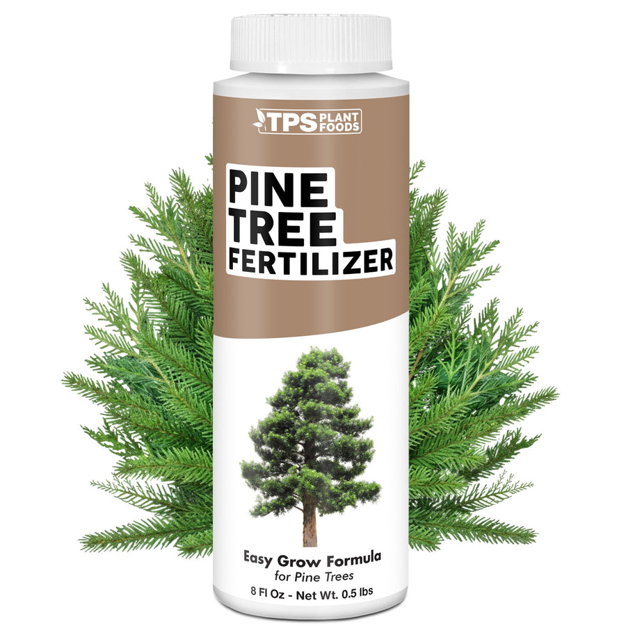 Pine Tree Fertilizer