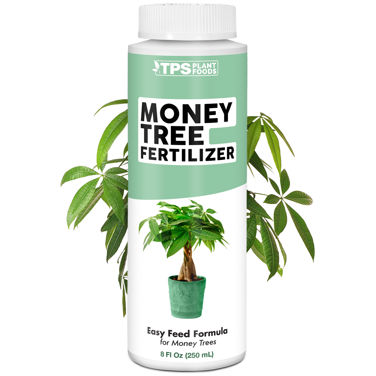 Money Tree Fertilizer — 8 Ounce
