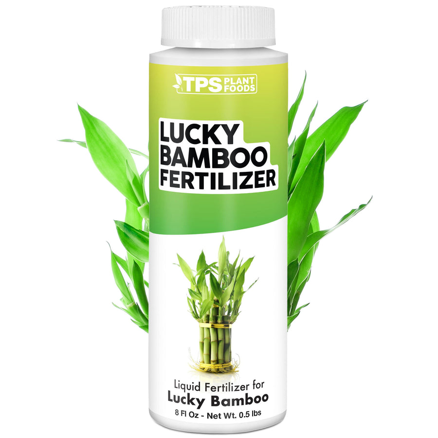 Lucky Bamboo Fertilizer