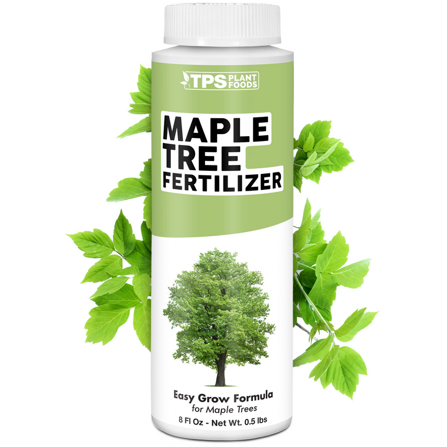 Maple Tree Fertilizer
