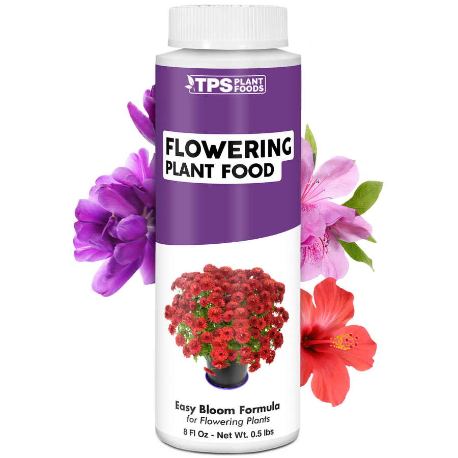 Flowering Plant Food