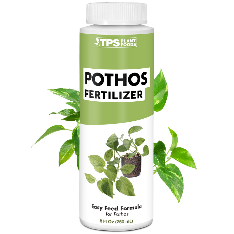 Pothos Fertilizer