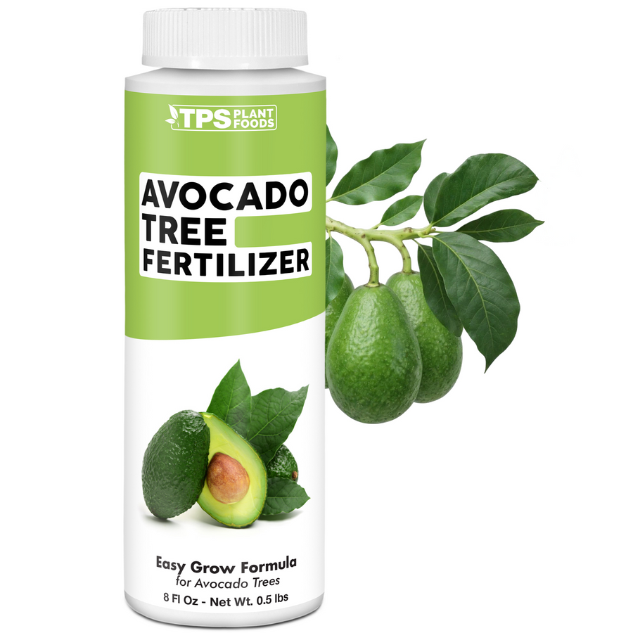 Avocado Tree Fertilizer