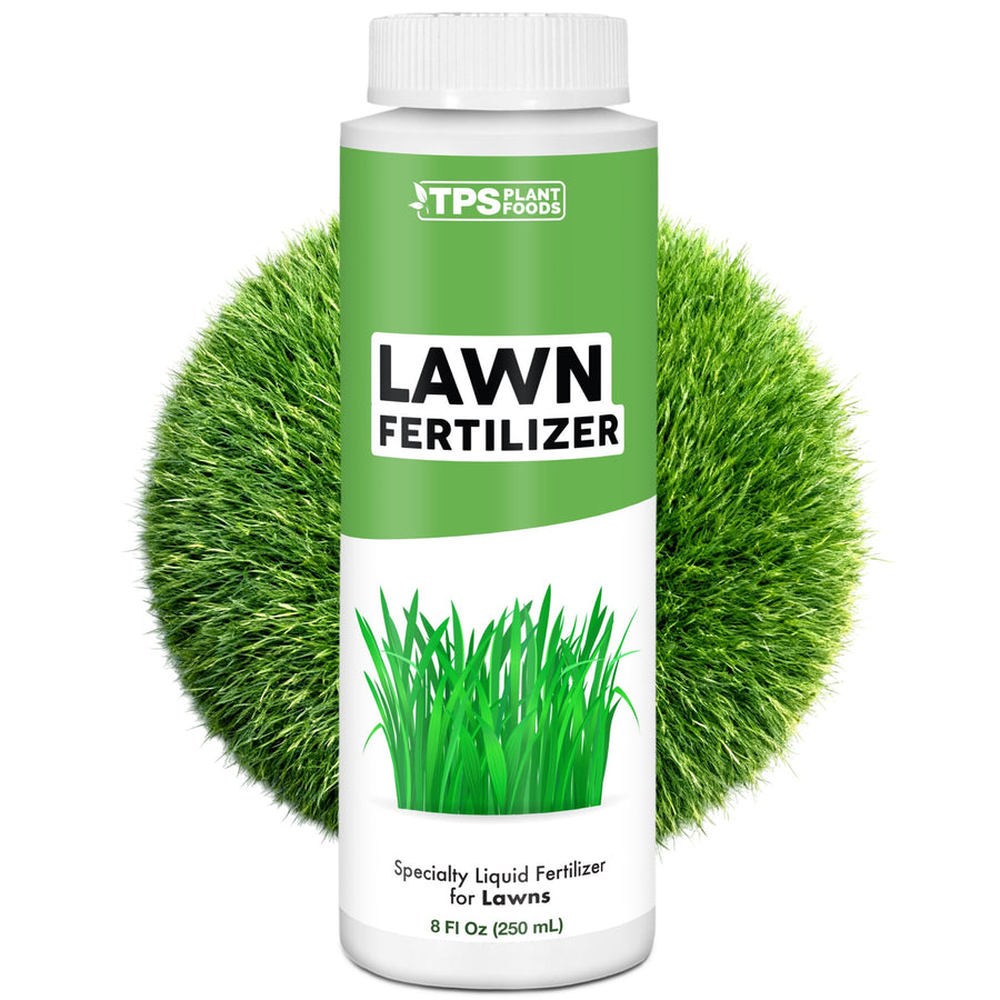 Lawn Fertilizer