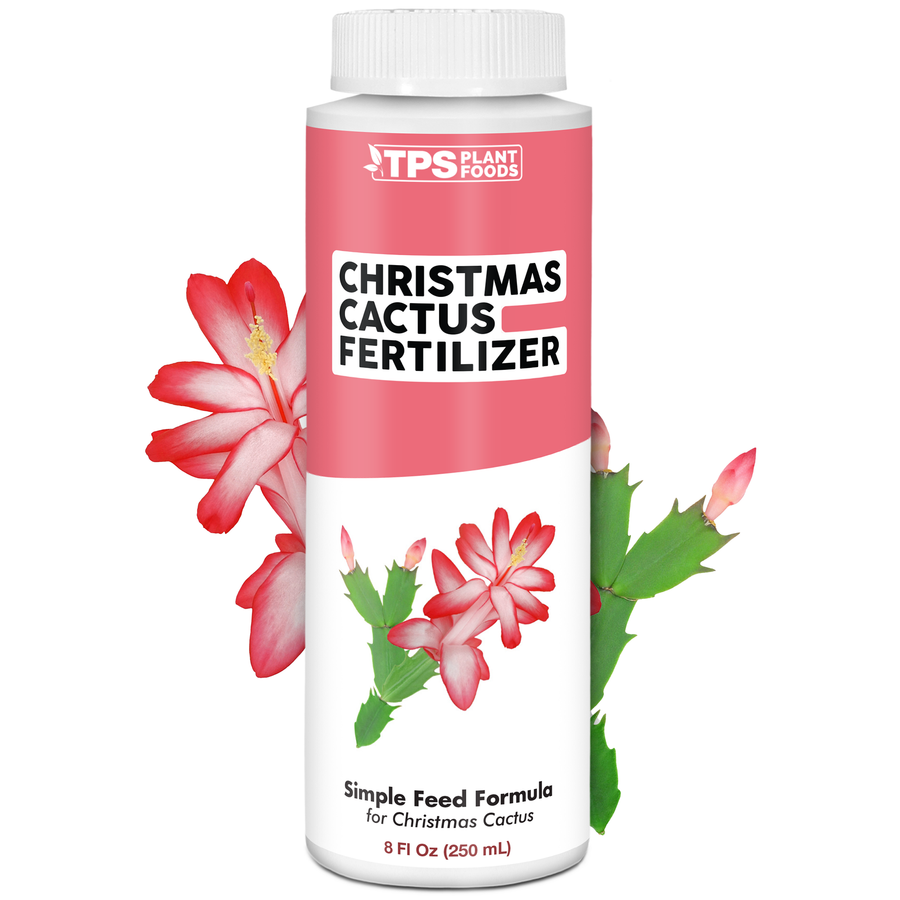 Christmas Cactus Fertilizer