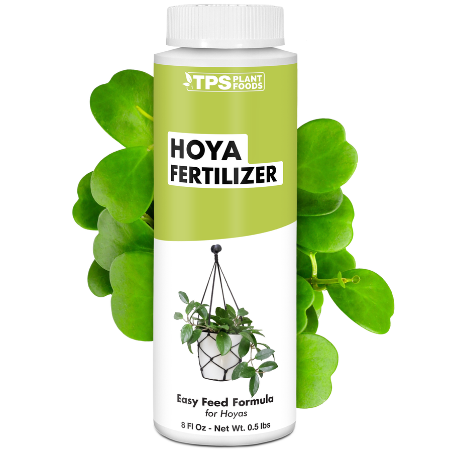 Hoya Fertilizer