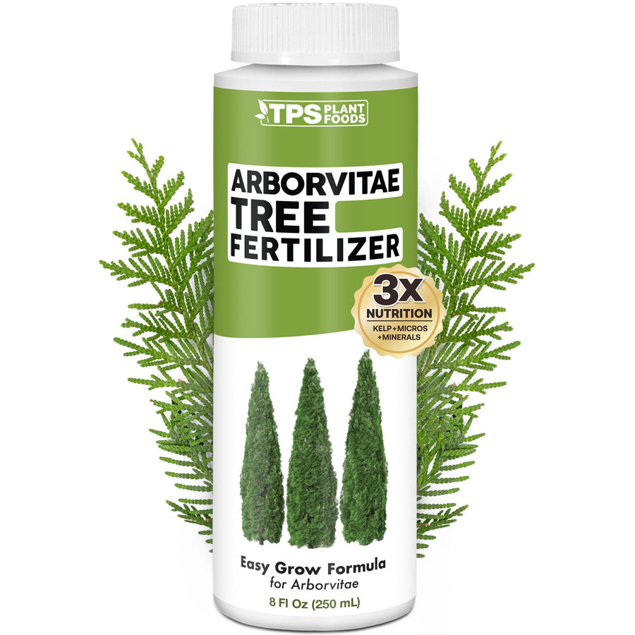 Arborvitae Fertilizer