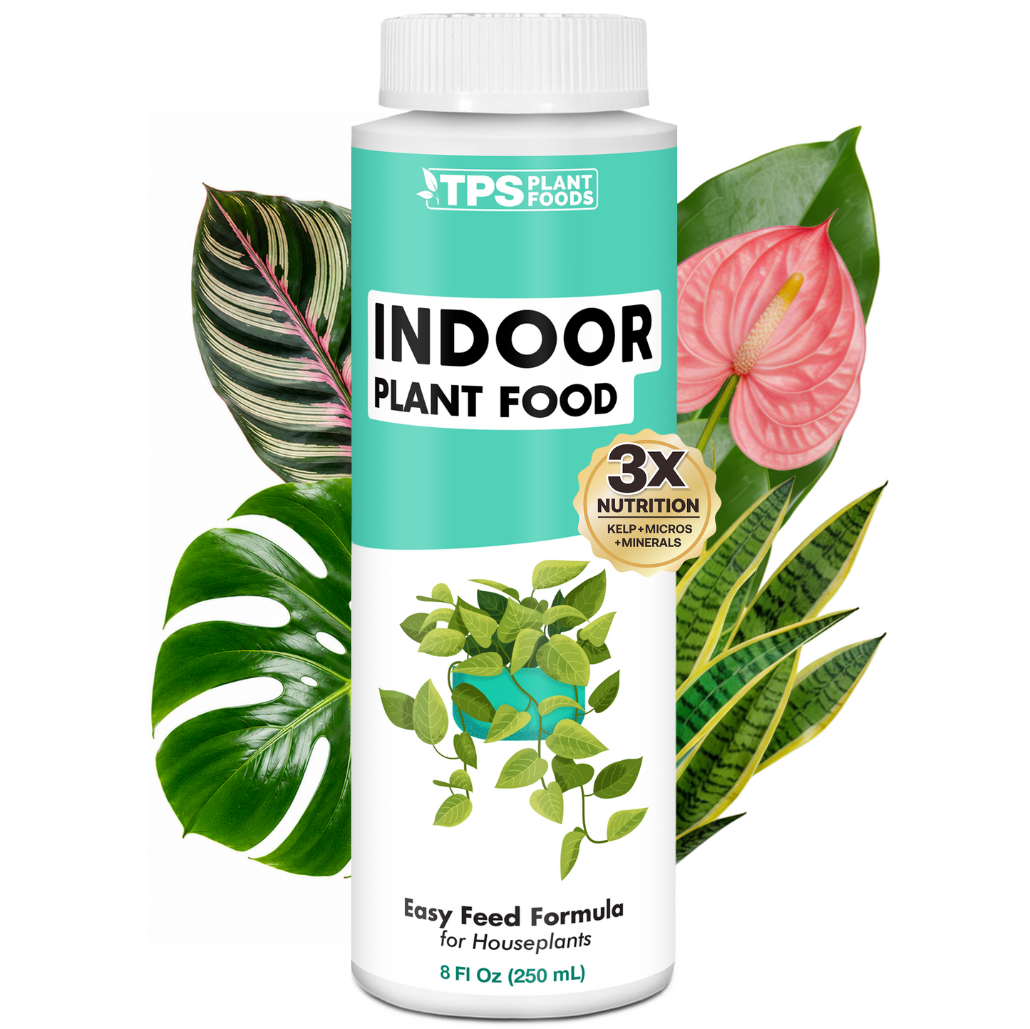 Indoor Plant Food