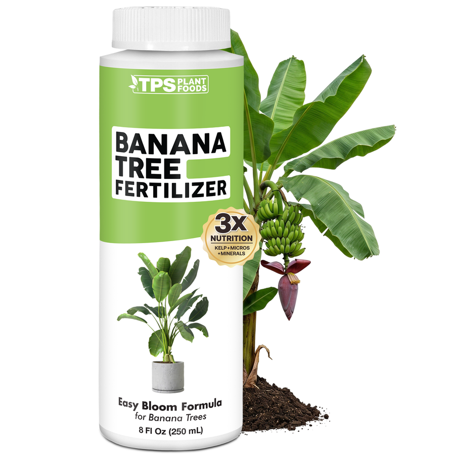 Banana Tree Fertilizer