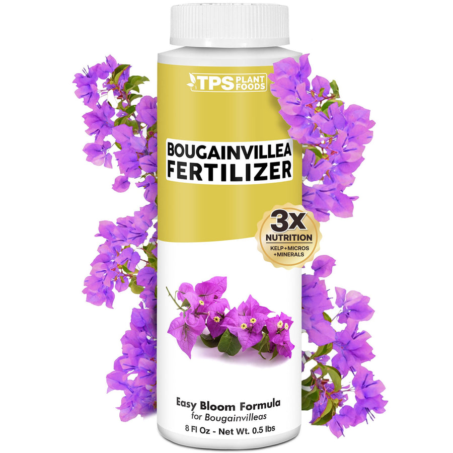 Bougainvillea Fertilizer