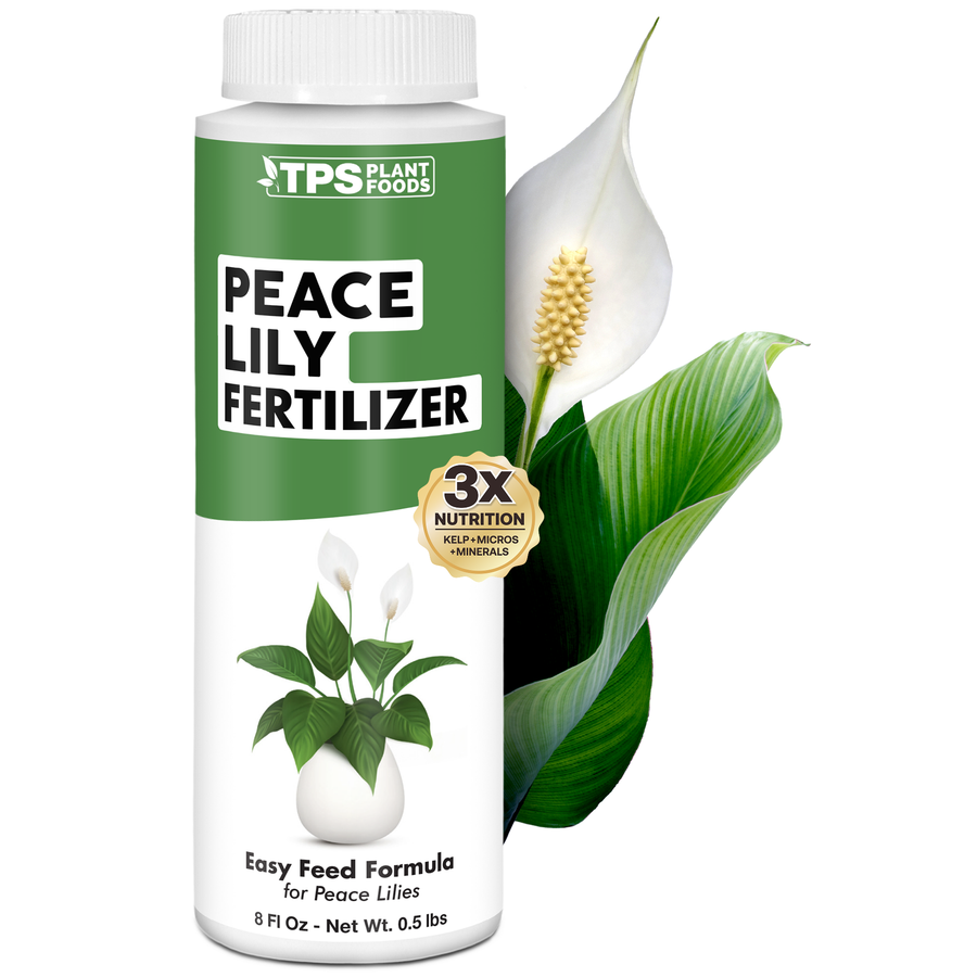 Peace Lily Fertilizer