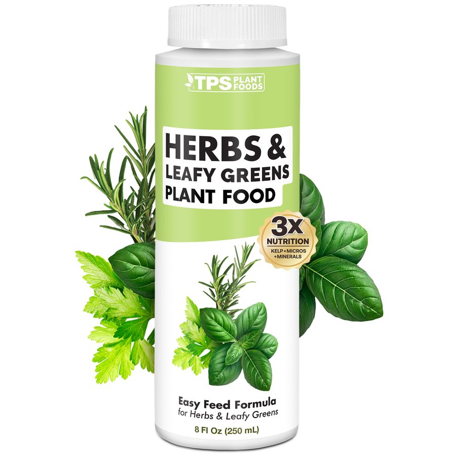 Herbs and Leafy Greens Plant Food