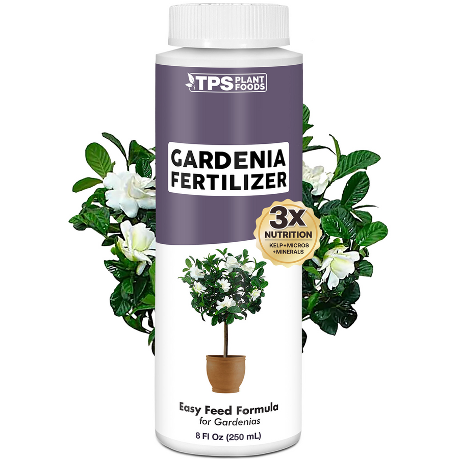 Gardenia Fertilizer