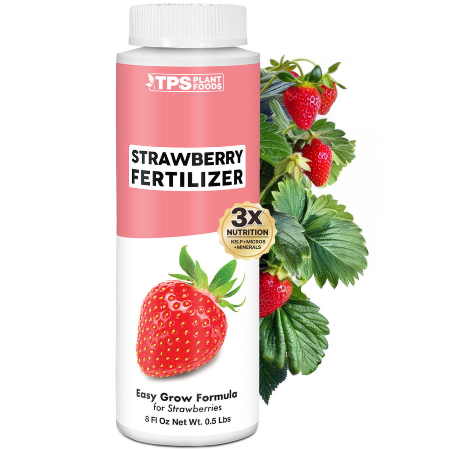 Strawberry Fertilizer
