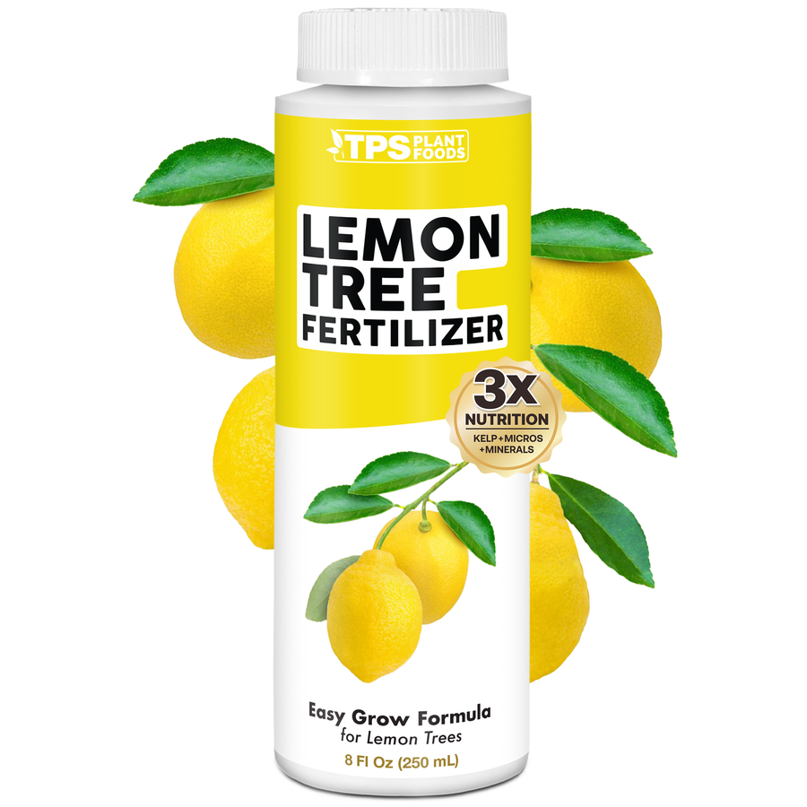 Lemon Tree Fertilizer