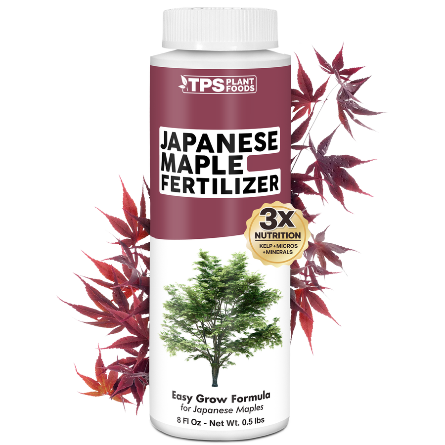 Japanese Maple Fertilizer