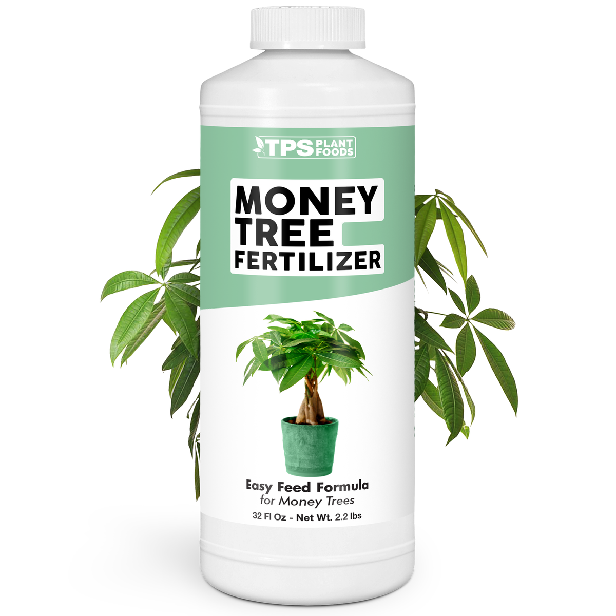 Money Tree Fertilizer — 32 Ounce